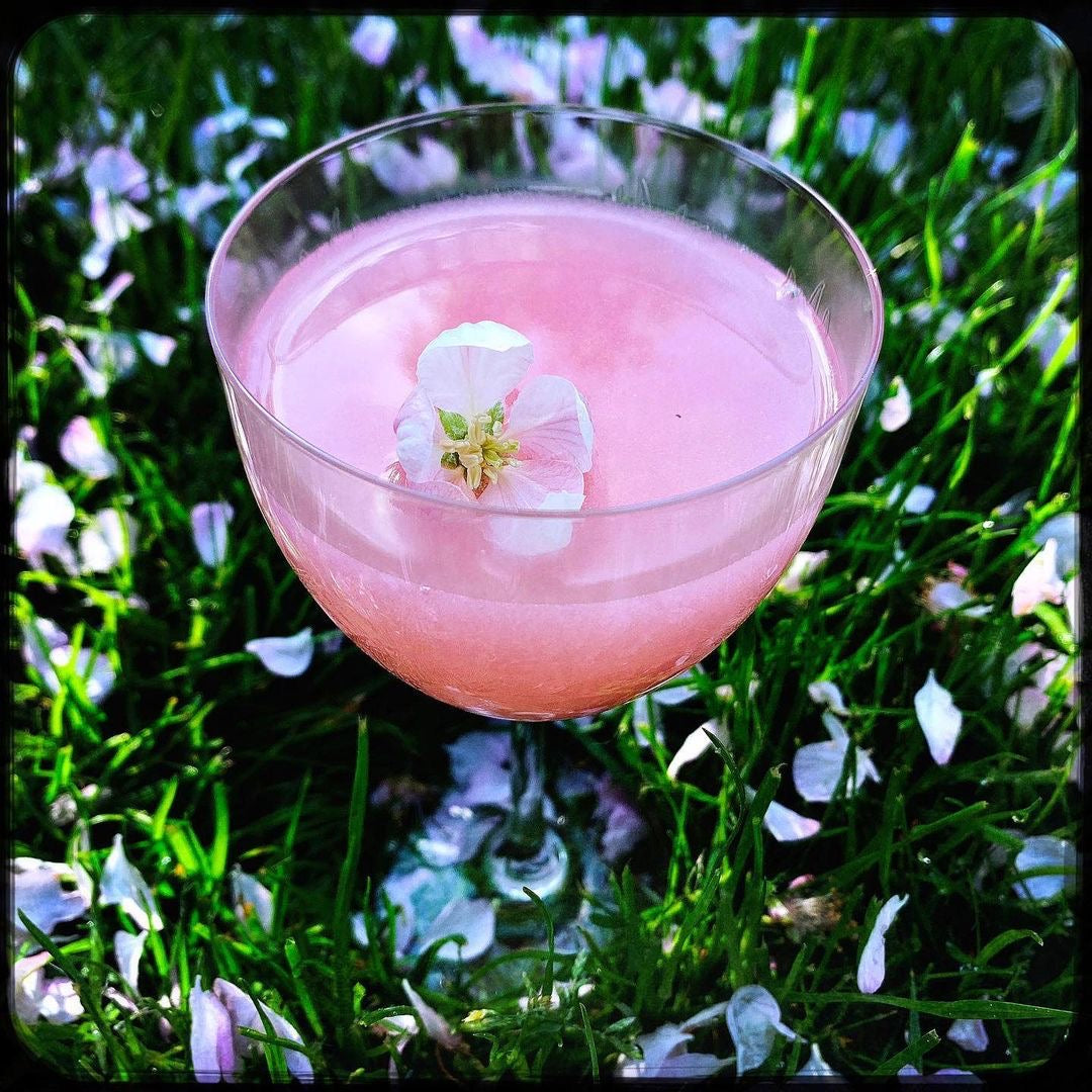 Consolation of Gin