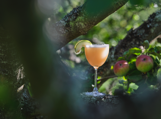 Quince Syrup Recipe